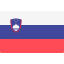 Slovenia flag