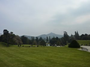 Powerscourt Green