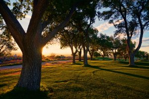 Golf Course