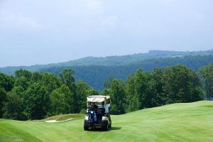 Golf Buggy